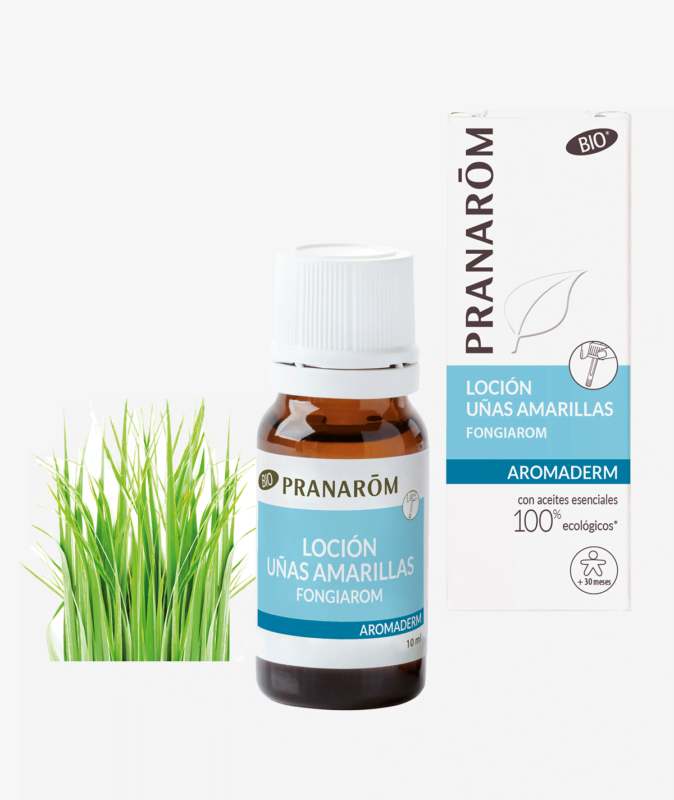Farmacia San Clemente