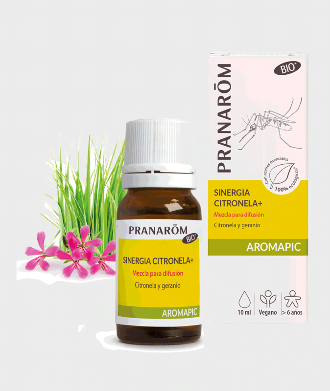 Farmacia San Clemente