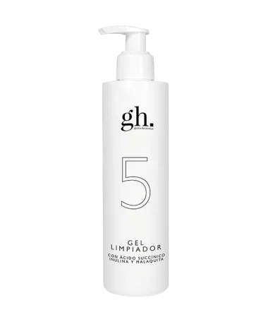 GH 5 GEL LIMPIADOR 250ML
